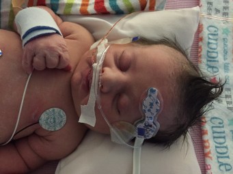 015362c526abdd066594e8522e2919f01e9a0b4ed0